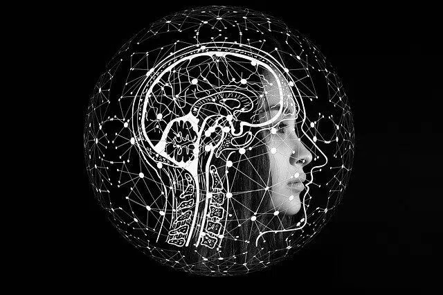 evolucion del cerebro humano evolución del cerebro humano estudio científico