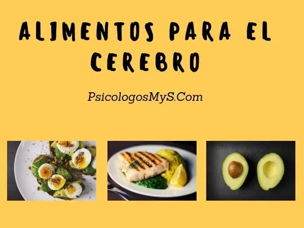 Alimentos para el cerebro Alimentos para el cerebro