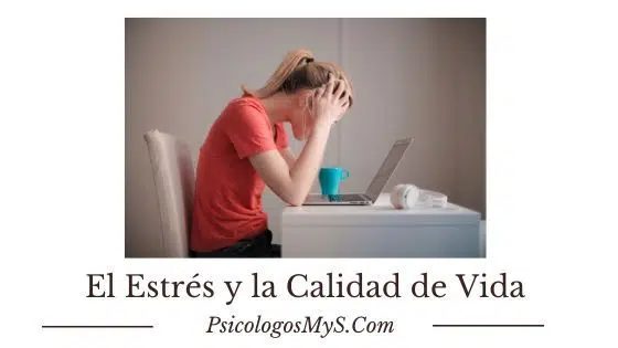 El Estrés y la calidad de vida (1) El Estrés y la calidad de vida (1)