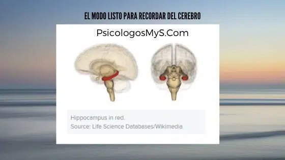 El modo listo para recordar del cerebro recordar