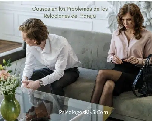 Los Principales Problemas en Relaciones de Pareja 1 Causas de Problemas en relaciones de Pareja