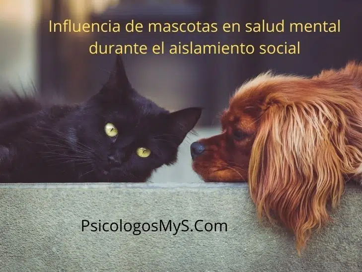Mejoran las mascotas la salud mental durante el aislamiento social (1) Mejoran las mascotas la salud mental durante el aislamiento social