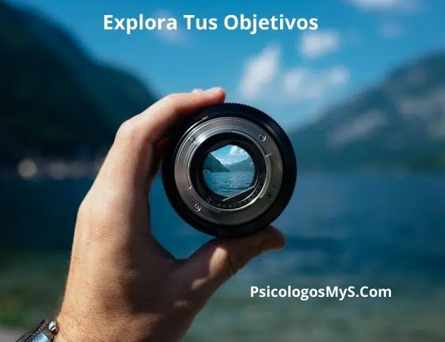 Cómo lograr objetivos 1 Objetivos de vida