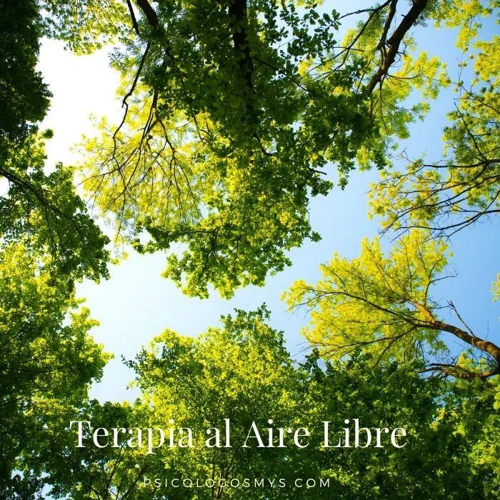 Terapia de Caminar y Hablar 2 Terapia al aire libre