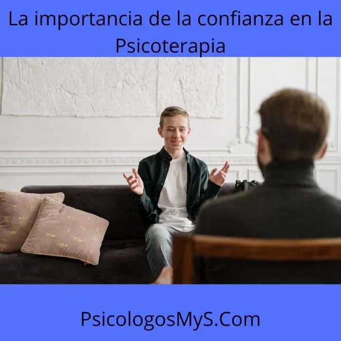 La importancia de la confianza en la Psicoterapia La importancia de la confianza en la Psicoterapia