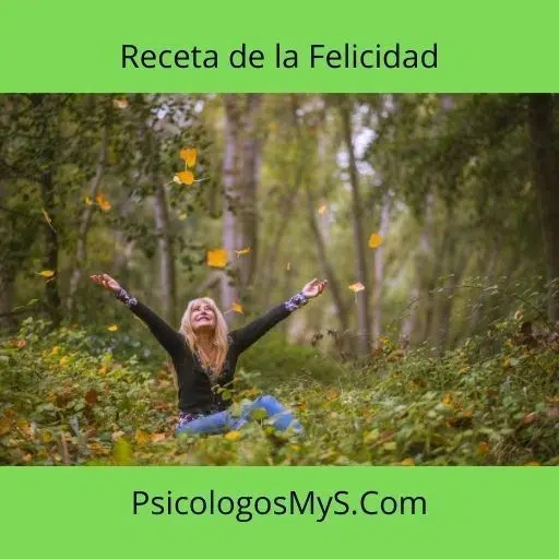 Receta de la Felicidad Receta de la Felicidad