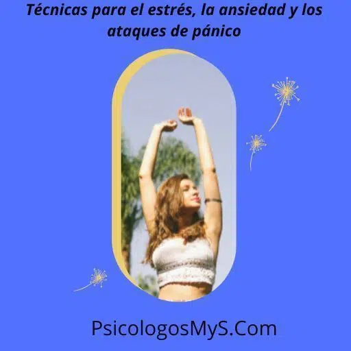 Técnicas para el estrés, la ansiedad y los ataques de pánico Técnicas para el estrés, la ansiedad y los ataques de pánico
