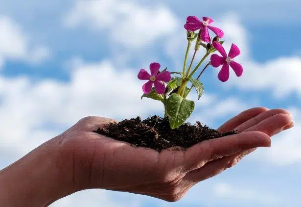 Guía de Desarrollo Personal guía de desarrollo y crecimiento personal