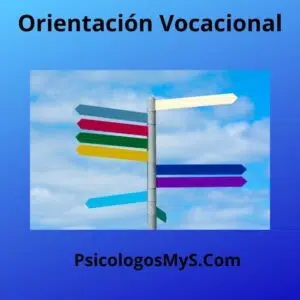 Orientación vocacional