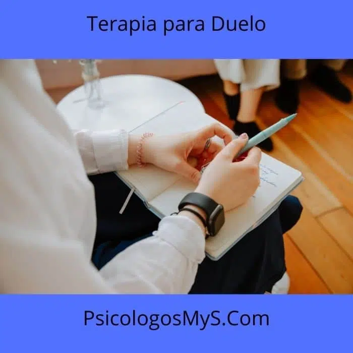 Terapia para Duelo 1 terapia para Duelo